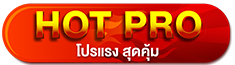 HOT PRO-หัวการ์ด